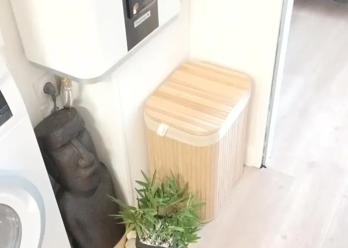 Comfy Counord Place 펜션